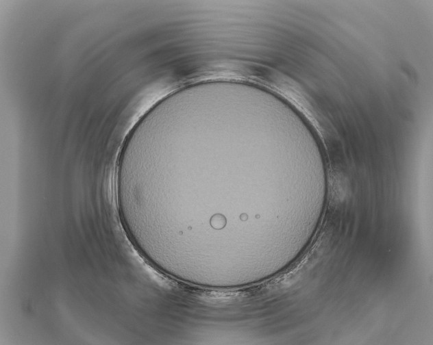 X0000112001290200908241425