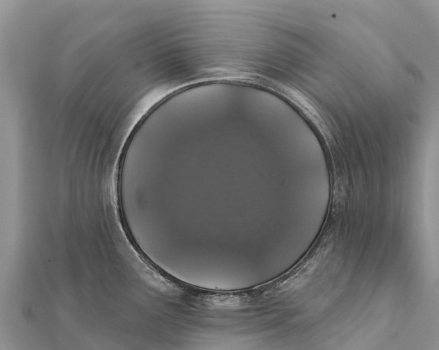 X0000112001291200908241425