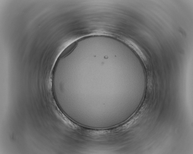 X0000112001292200908241425