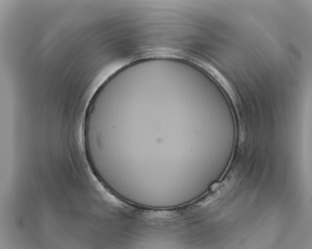 X0000112001293200908241425