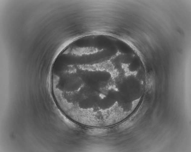 X0000112001294200908241425