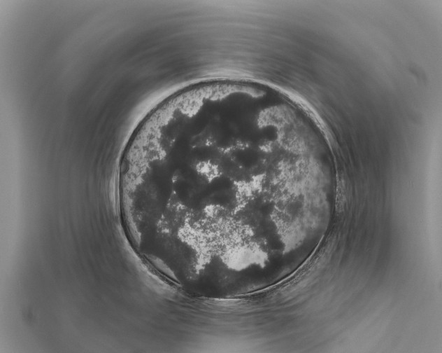 X0000112001295200908241425