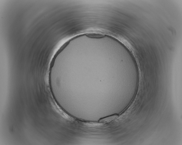 X0000112001296200908241425