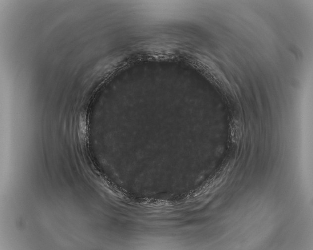 X0000112001298200908241424