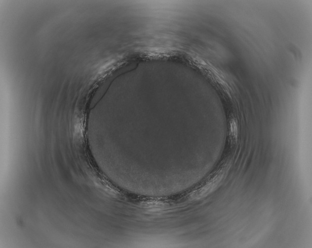 X0000112001300200908241424