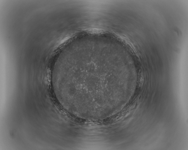 X0000112001301200908241424