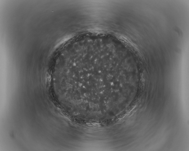 X0000112001302200908241424