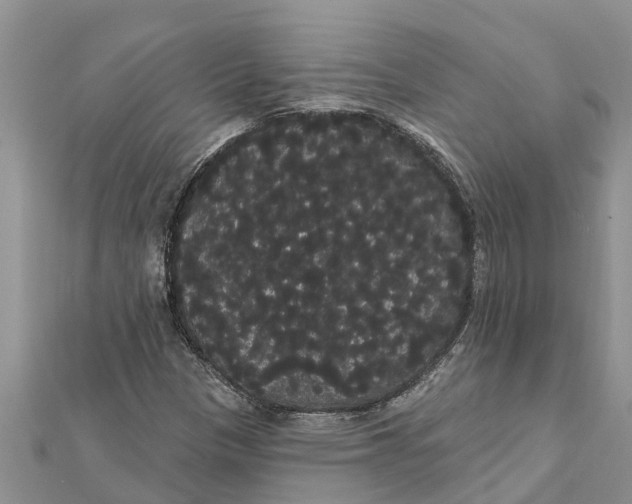 X0000112001305200908241424