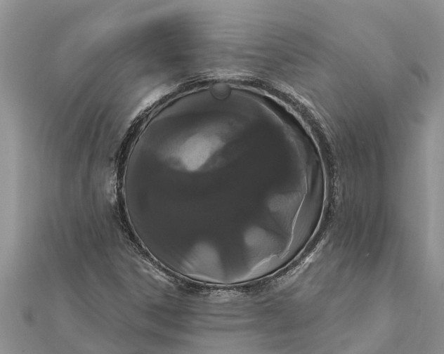 X0000112001306200908241424