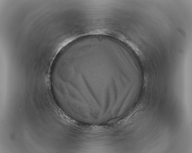 X0000112001308200908241424