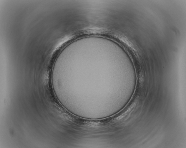 X0000112001309200908241424