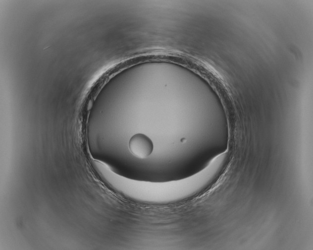 X0000112001310200908241424