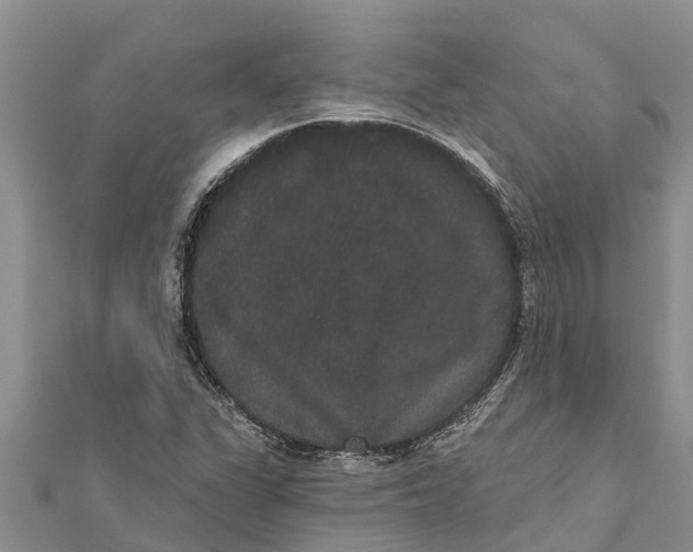 X0000112001311200908241424