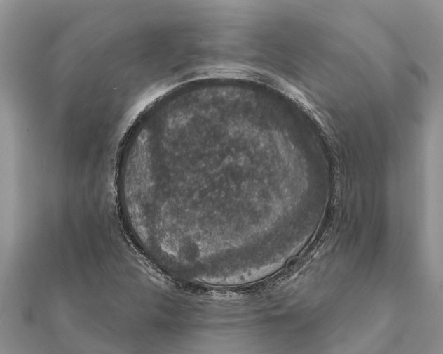 X0000112001312200908241424