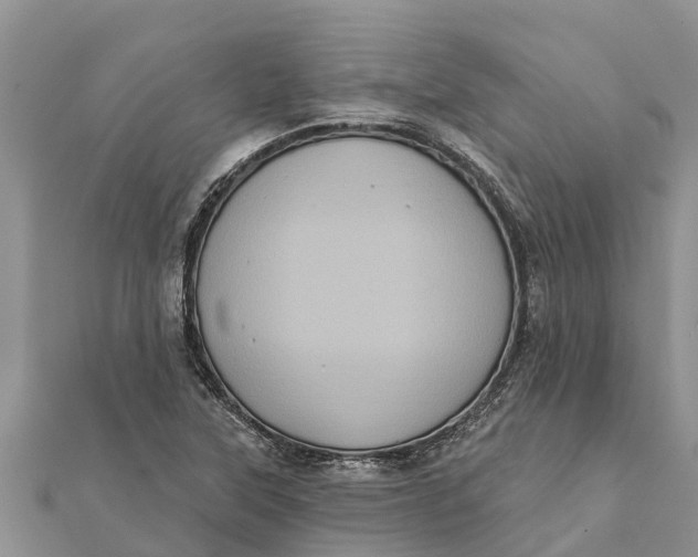 X0000112001315200908241424