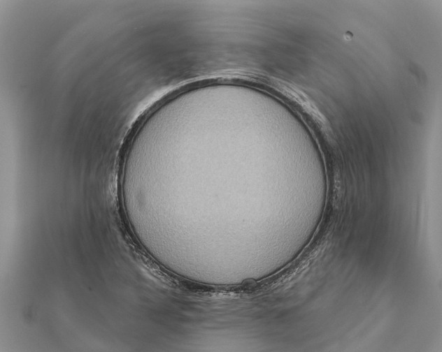 X0000112001316200908241424