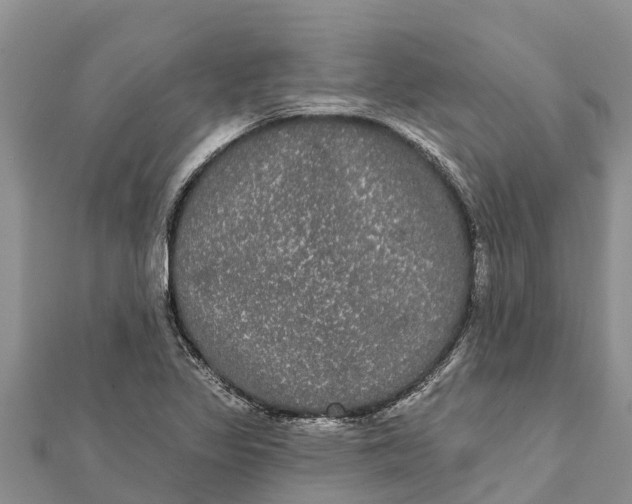 X0000112001317200908241424