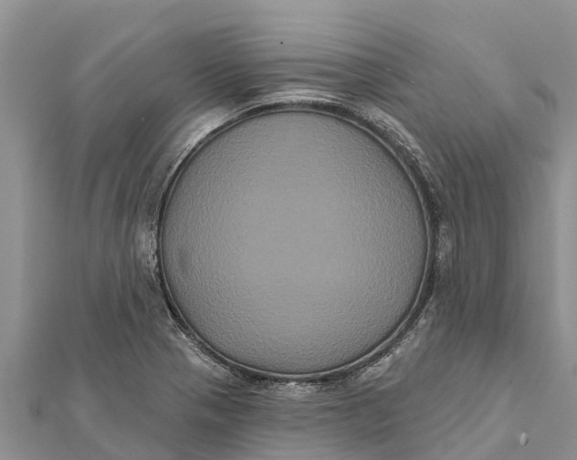 X0000112001321200908241424