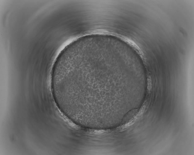 X0000112001326200908241424