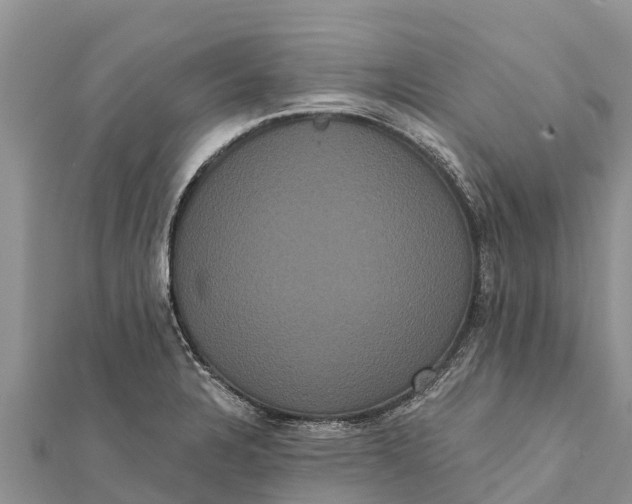 X0000112001328200908241424