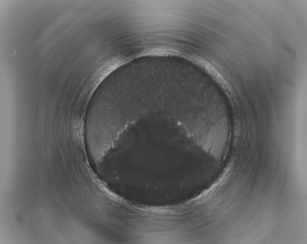 X0000112001329200908241425