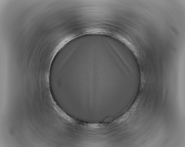 X0000112001330200908241425