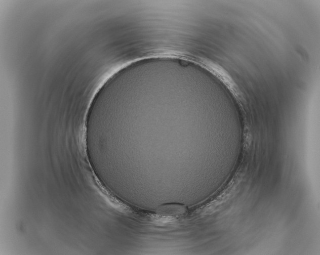 X0000112001332200908241425