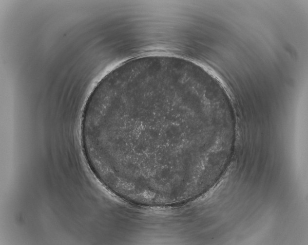 X0000112001333200908241425