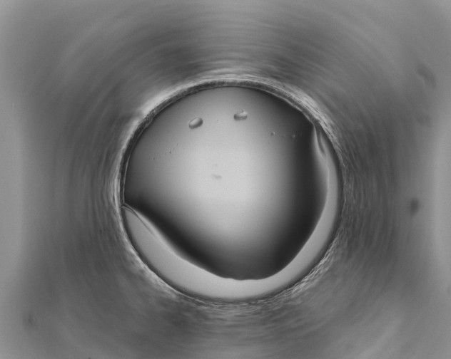 X0000112001334200908241425