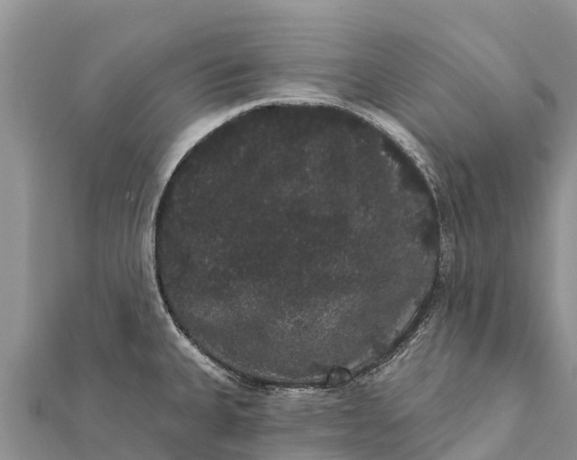 X0000112001335200908241425