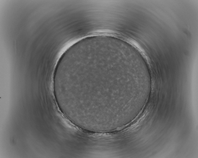 X0000112001336200908241425