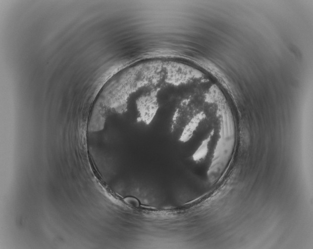 X0000112001337200908241425