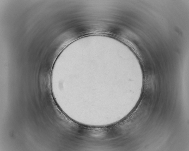 X0000112001338200908241425