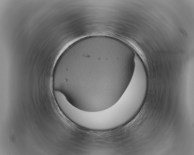 X0000112001340200908241425