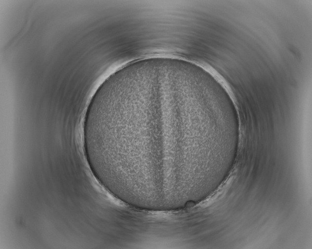 X0000112001341200908241425