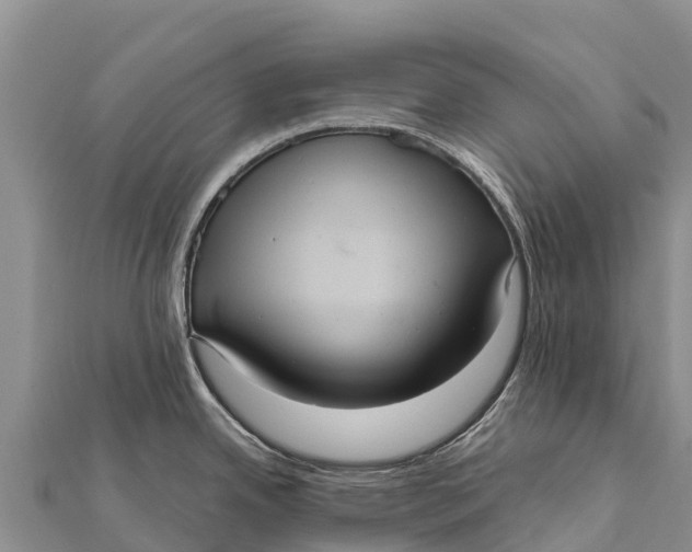 X0000112001342200908241425