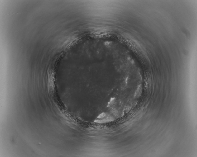 X0000112001346200908241424