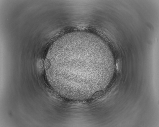 X0000112001347200908241424