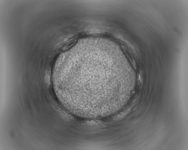 X0000112001348200908241424