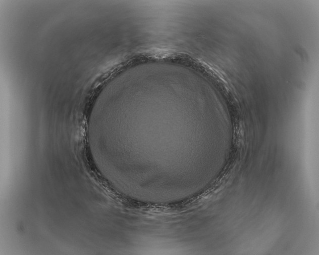 X0000112001349200908241424