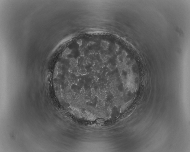 X0000112001351200908241424