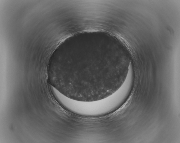 X0000112001353200908241424