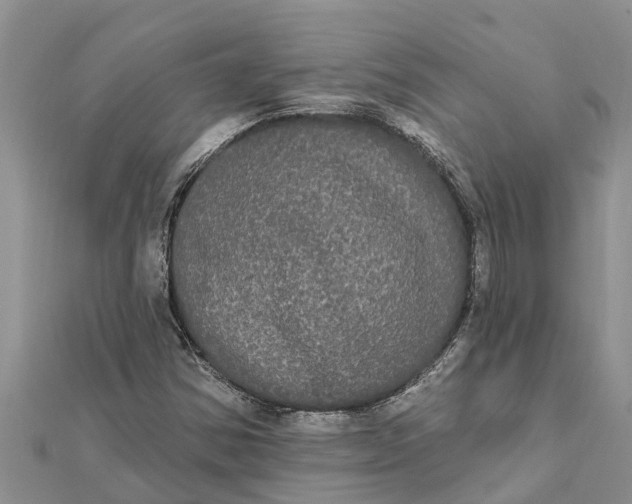 X0000112001354200908241424