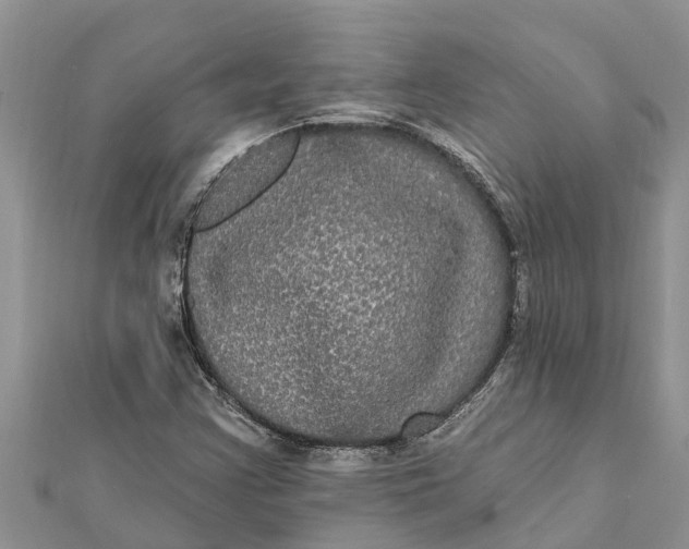 X0000112001355200908241424