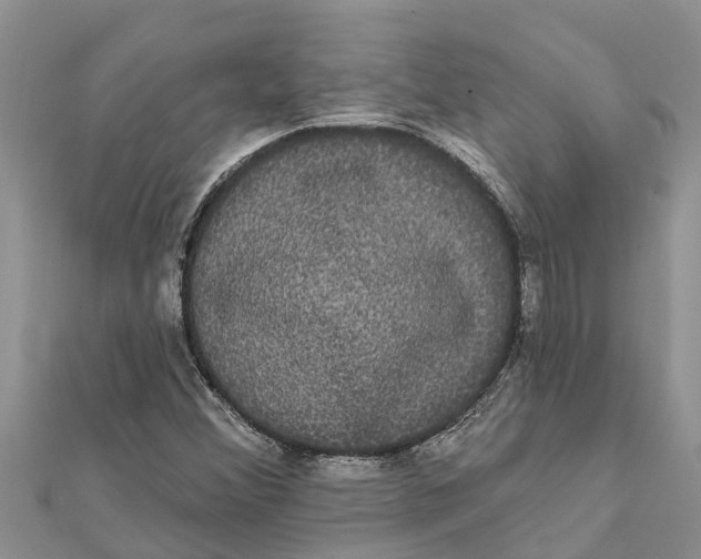 X0000112001356200908241424