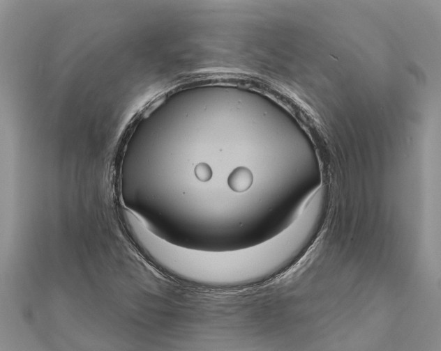 X0000112001357200908241424