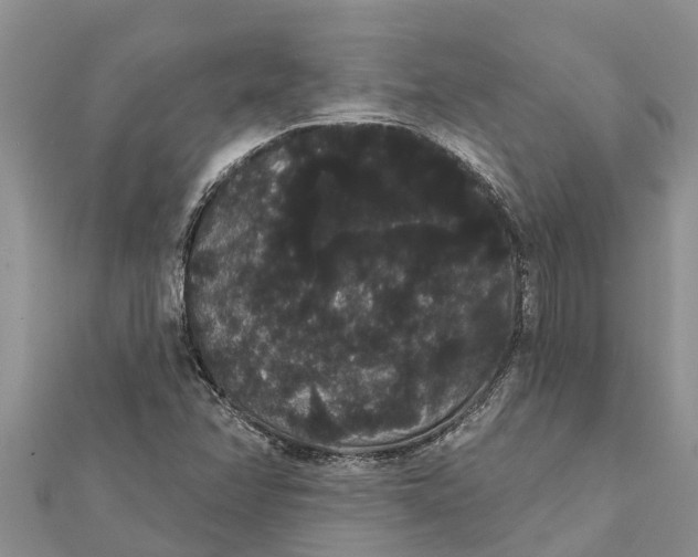 X0000112001358200908241424