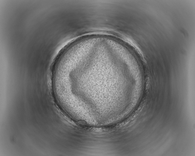 X0000112001360200908241424