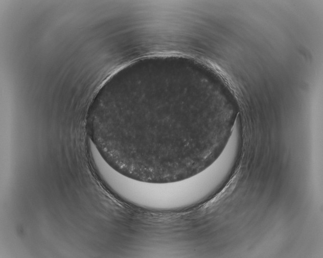 X0000112001361200908241424