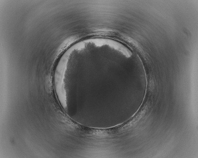 X0000112001362200908241424